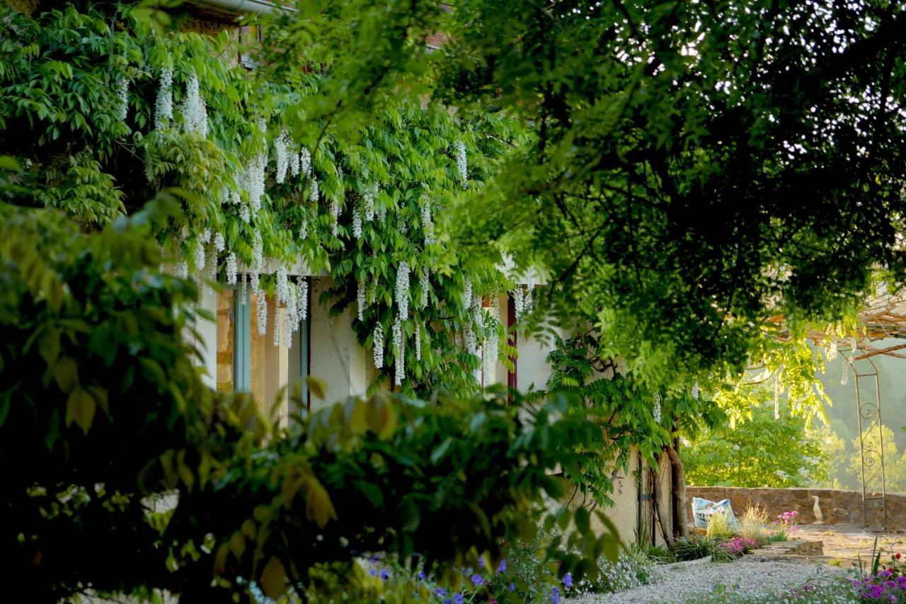 Chambres D'Hotes Secret Pyrenees Lasseube Eksteriør billede