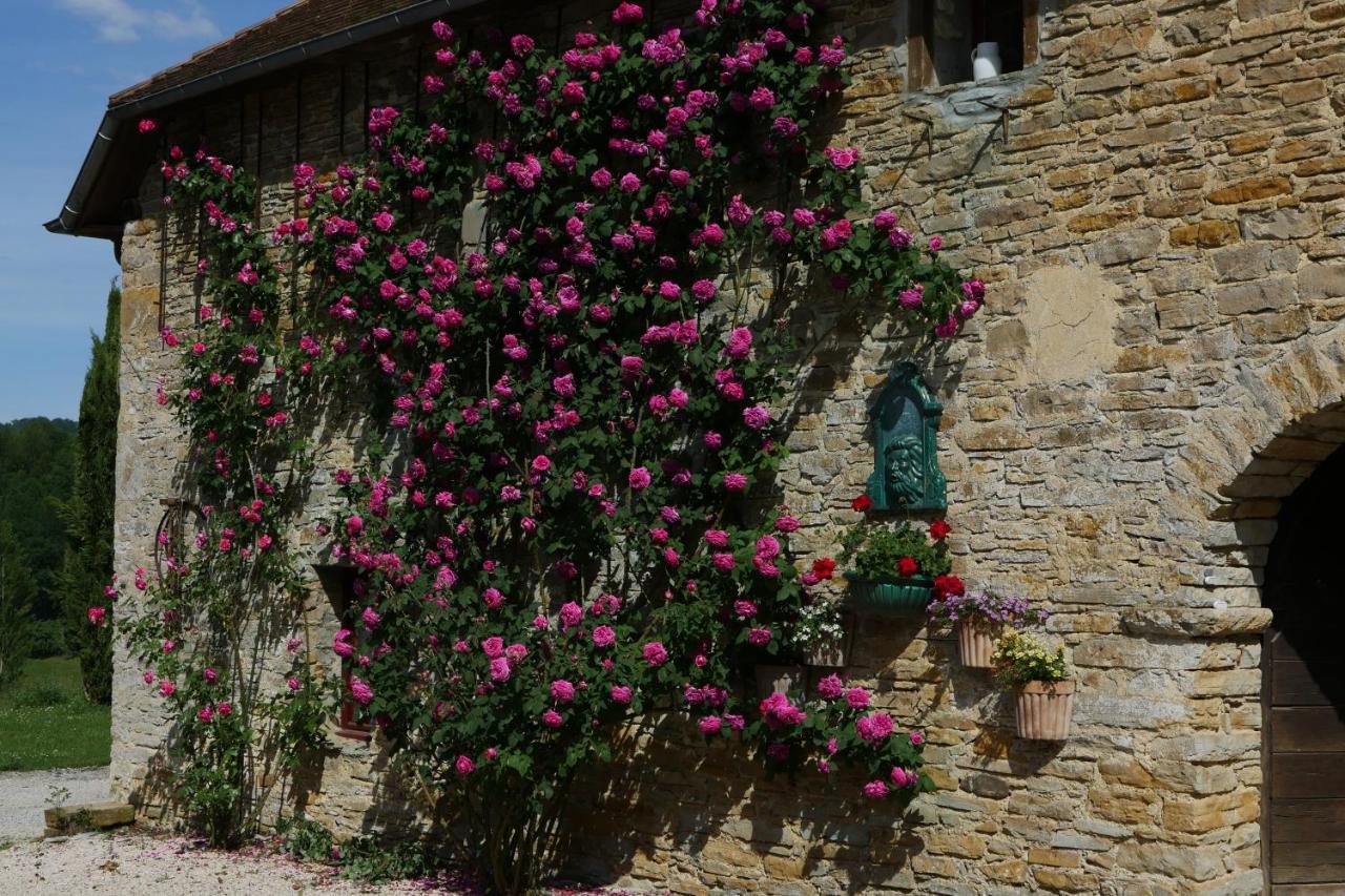 Chambres D'Hotes Secret Pyrenees Lasseube Eksteriør billede