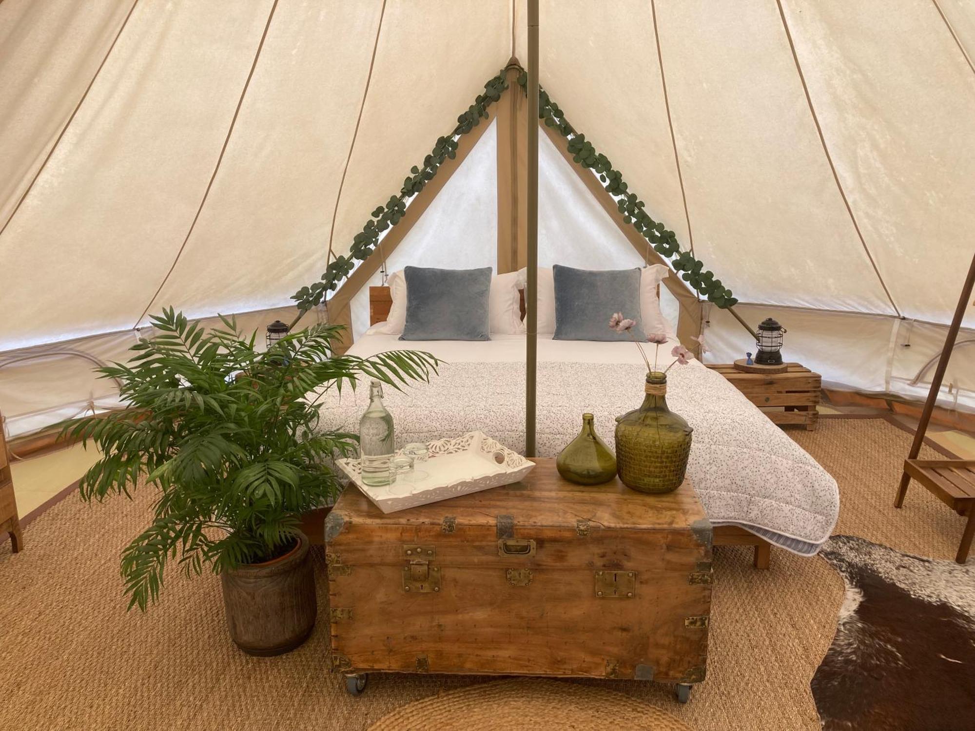 Chambres D'Hotes Secret Pyrenees Lasseube Eksteriør billede